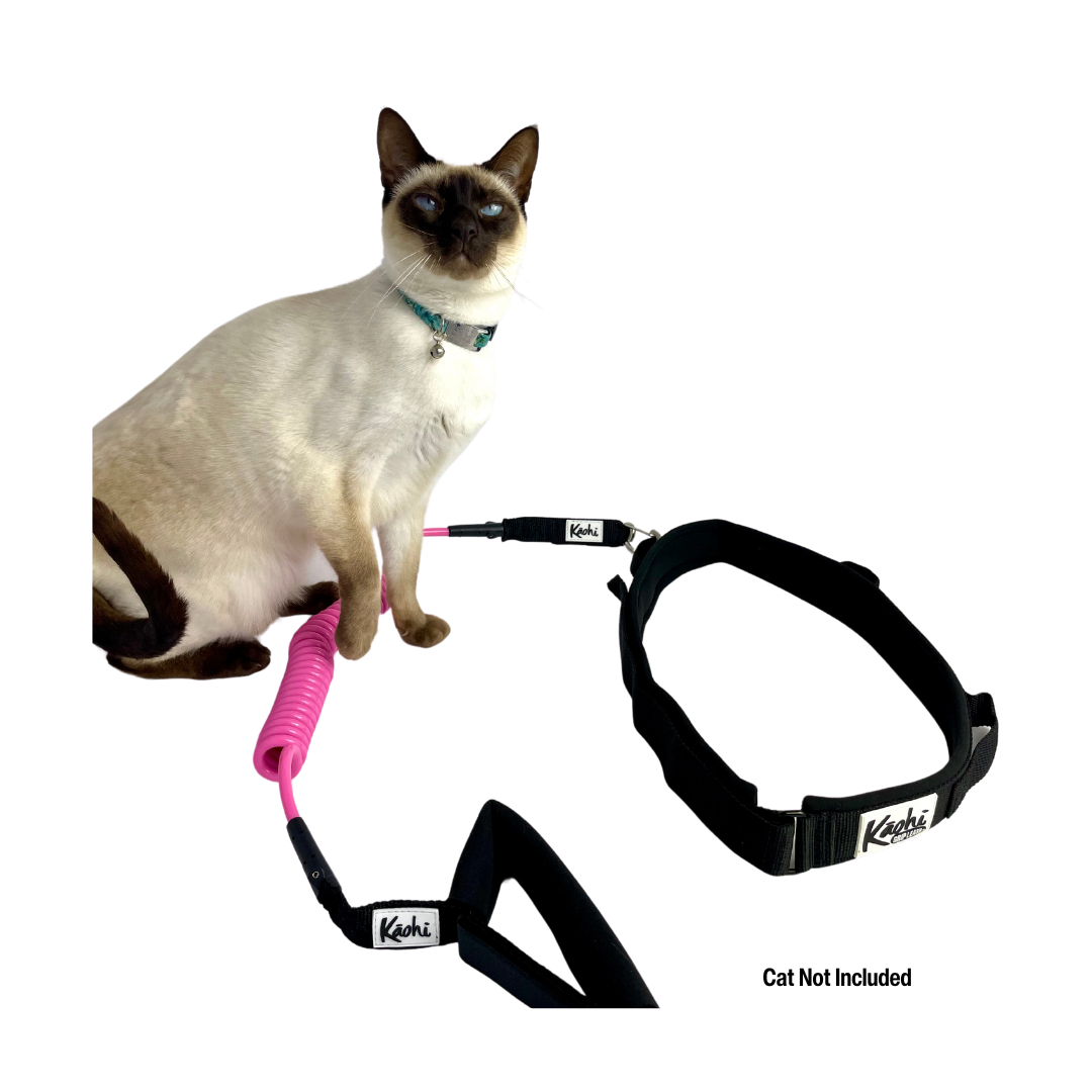 Waist Belts & Belt + Leash Combos