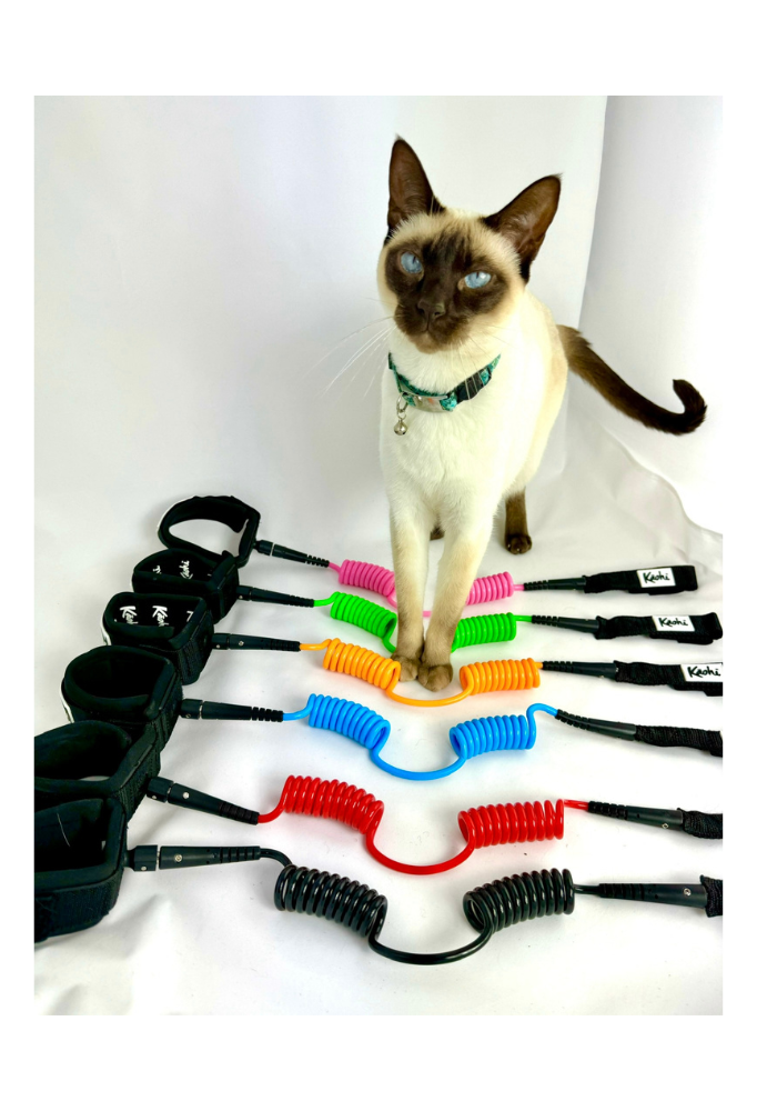 sup wing wing prone foil leash wing downwind SUP blue pink neon green red surfing surf foilboard foilboarding hydrofoil