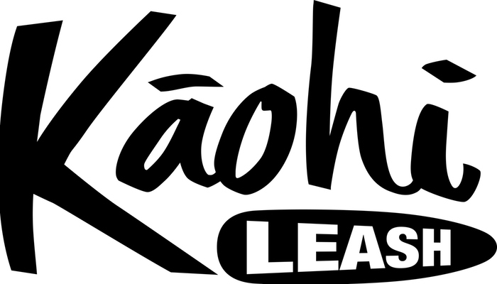 Board Meeting USA logo