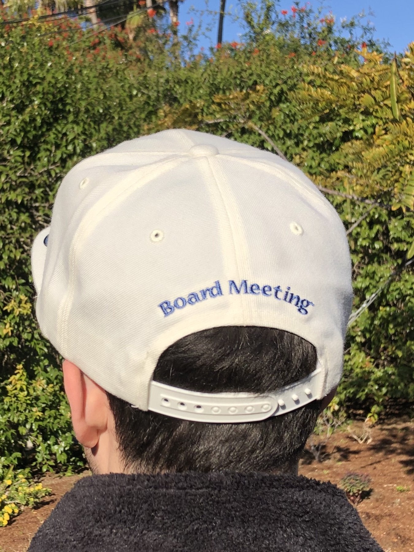 Board Meeting snap back hat surfing